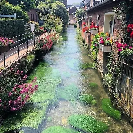L'albatre - Maison Situee A Quelques Pas De La * Saint-Aubin-sur-Scie